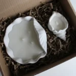 Sea Shell Candle Set